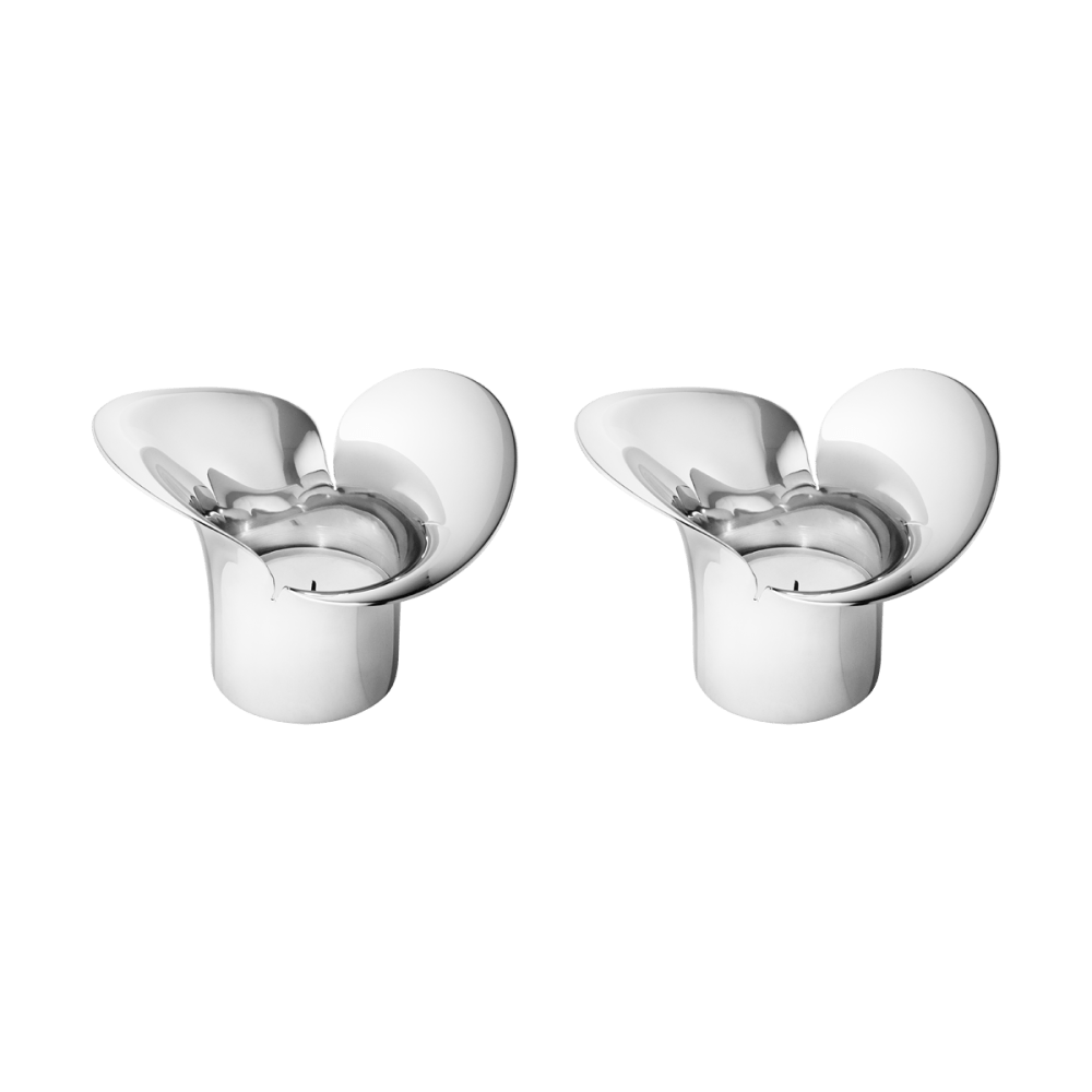Bloom Botanica Stainless Steel 2 Piece Tealight Holder Set