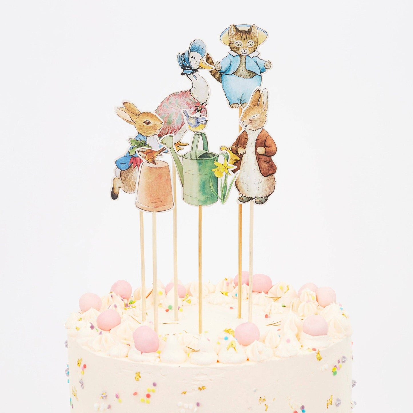 Pack of 6 Peter Rabbit™ & Friends Cake Toppers