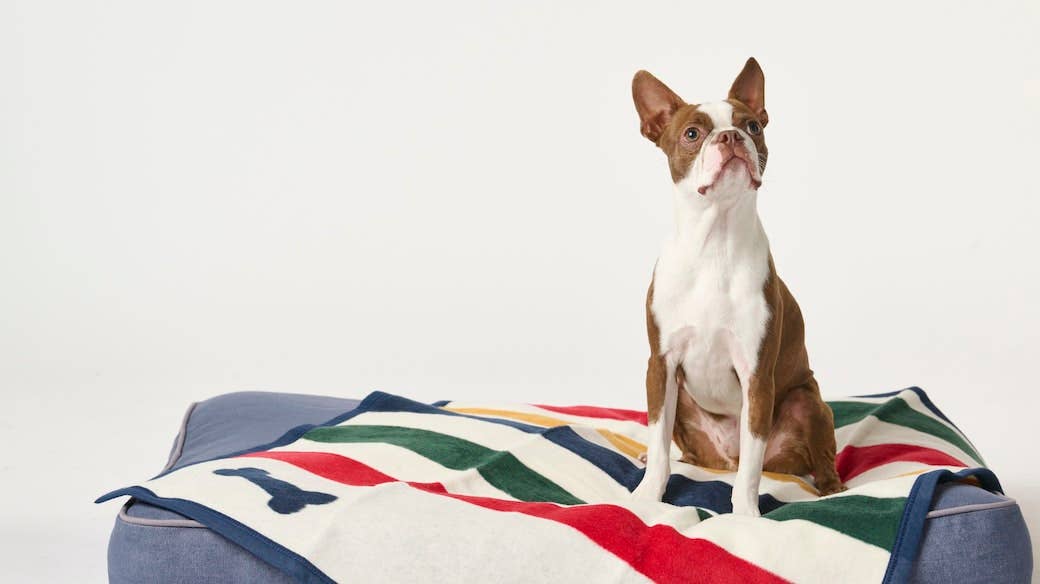 Casco Bone Mini Pet Blanket