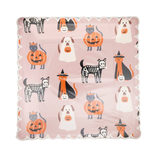 Square Costume Pets Plate