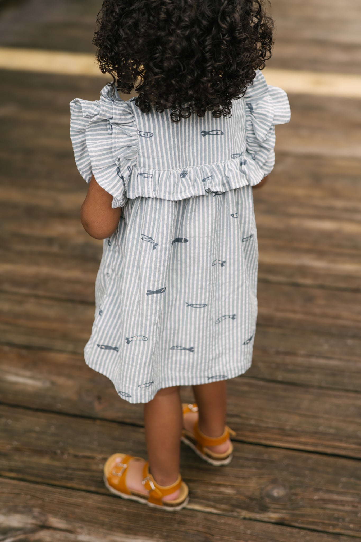 Seersucker Dress - Petite Sardine