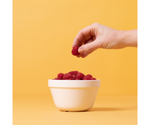 White S42 All Purpose Bowl - 5.5"