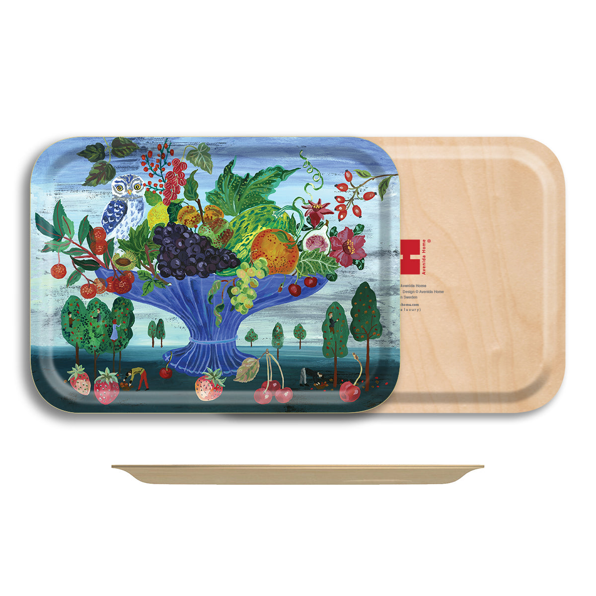The Owl and the Fruit Bowl Small Tray - 10.5"x8"