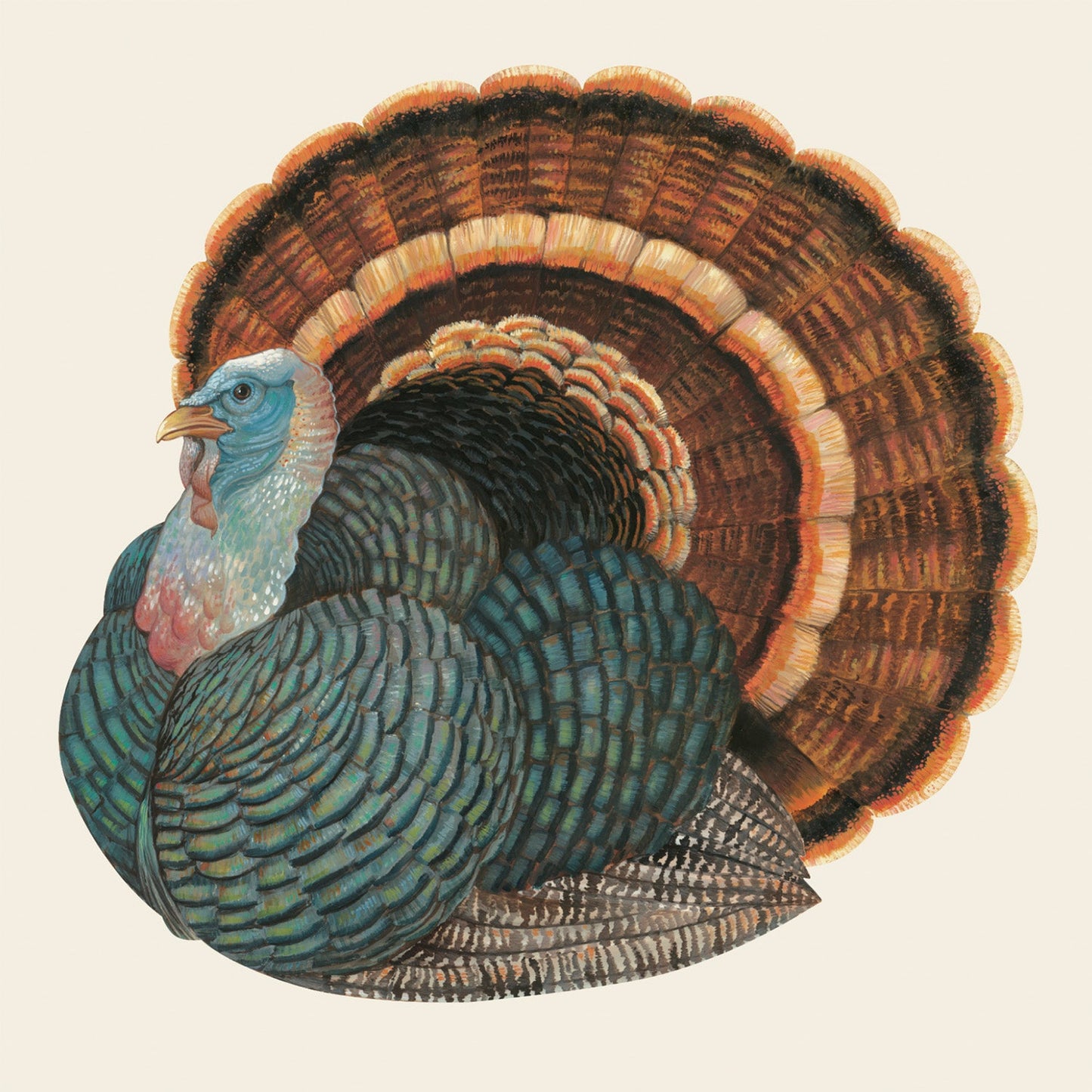 Cocktail Napkins - Heritage Turkey