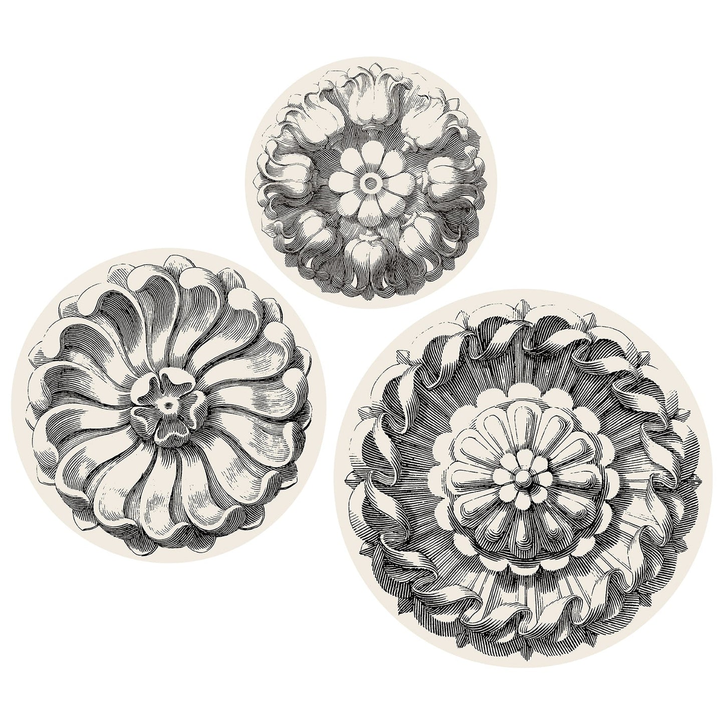 Pack of 12 Serving Papers - Rosette