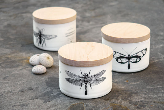 Citronella 3-Wick Candle - Sea Salt