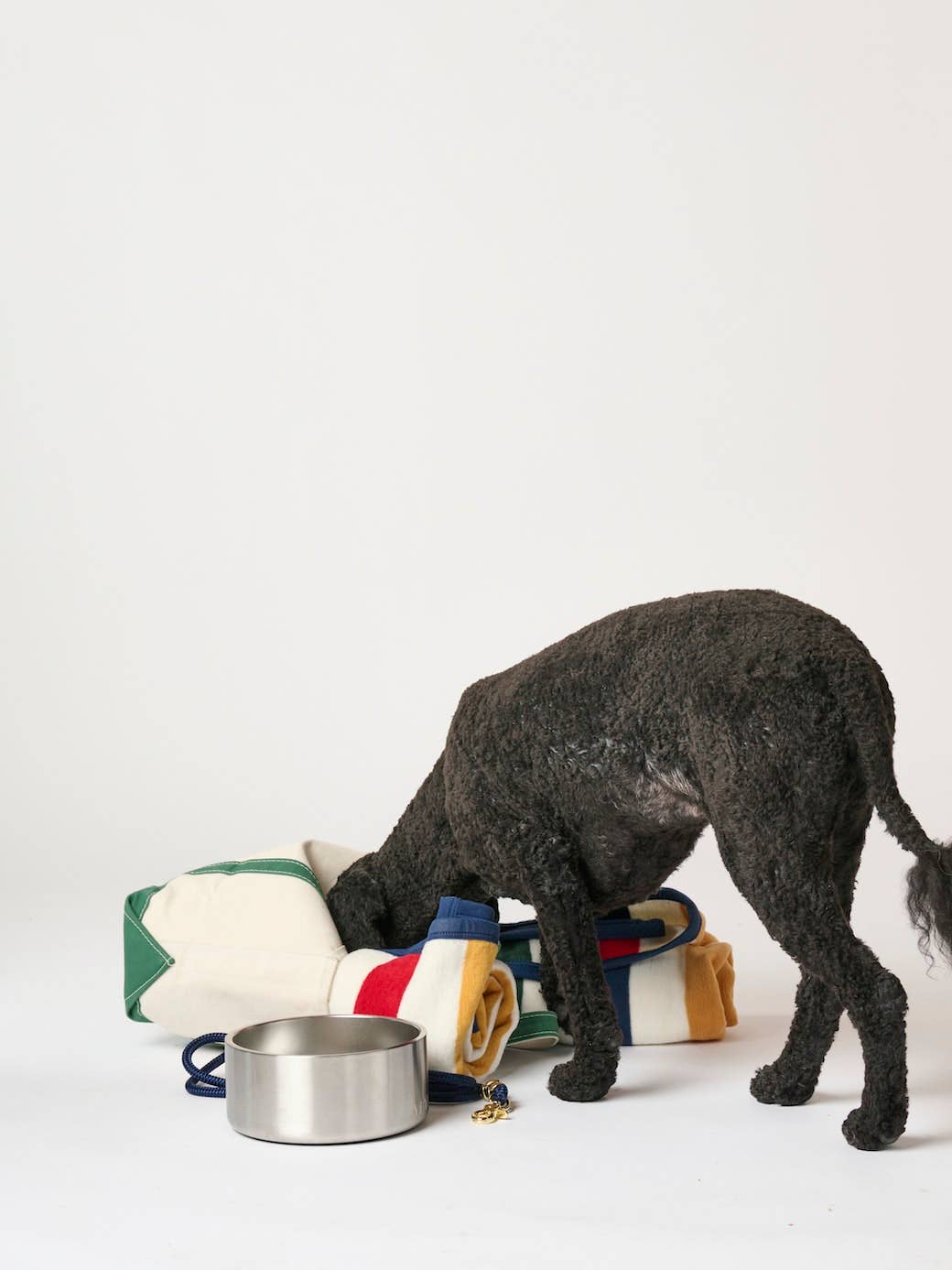 Casco Bone Mini Pet Blanket