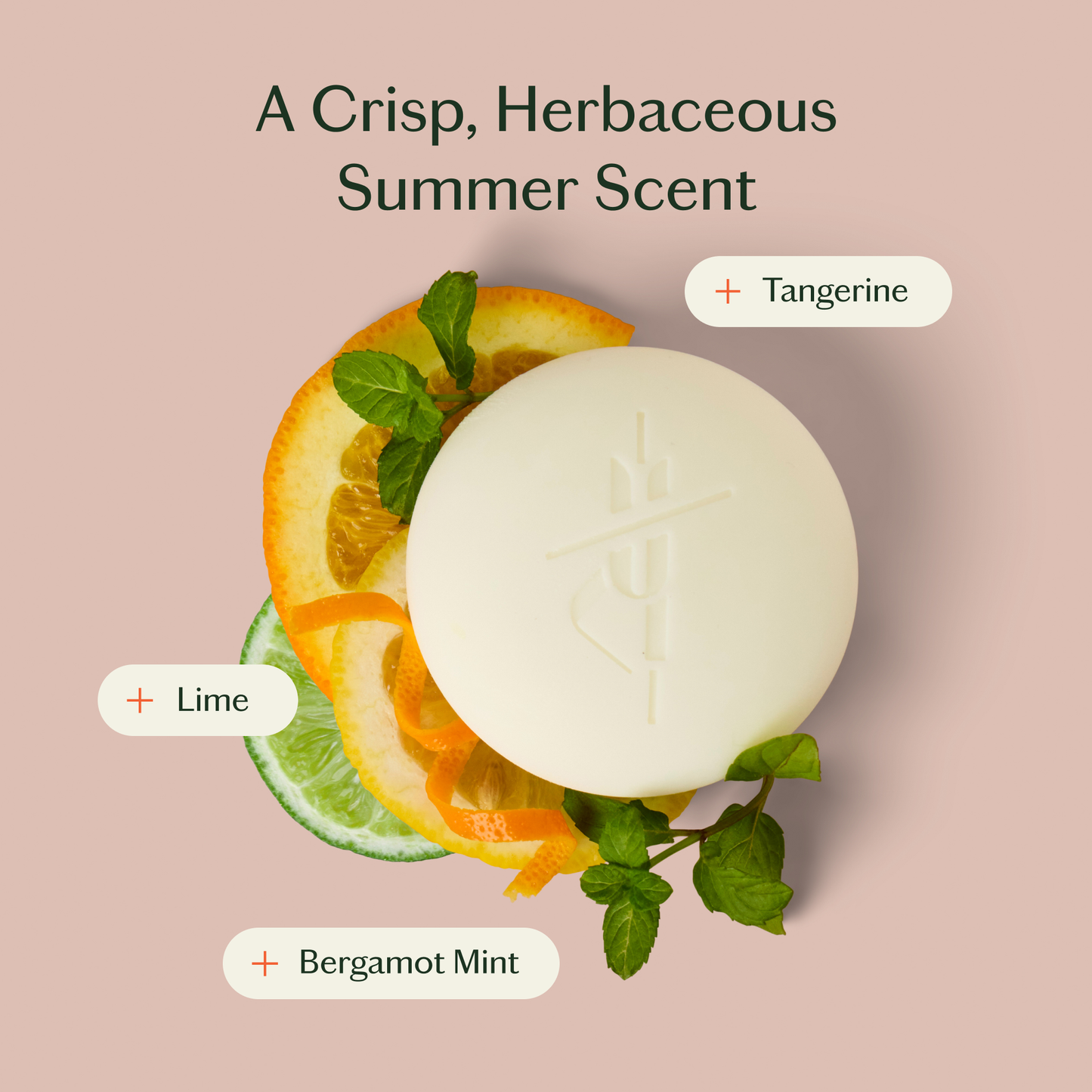 Deep Moisturizing Lotion Bar - Bergamot Mint
