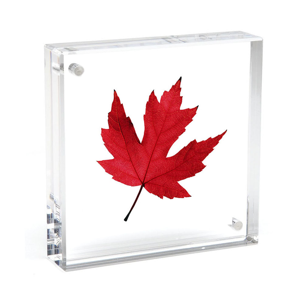Square Magnet Picture Frame