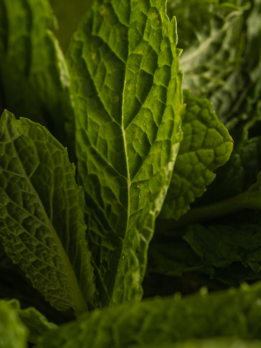 Smart Vial - Green Tea Citrus