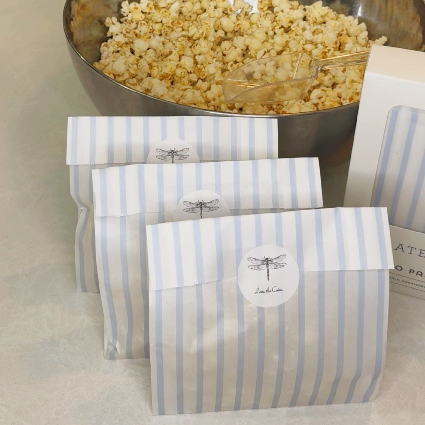 Paper Pouches - Periwinkle Stripes