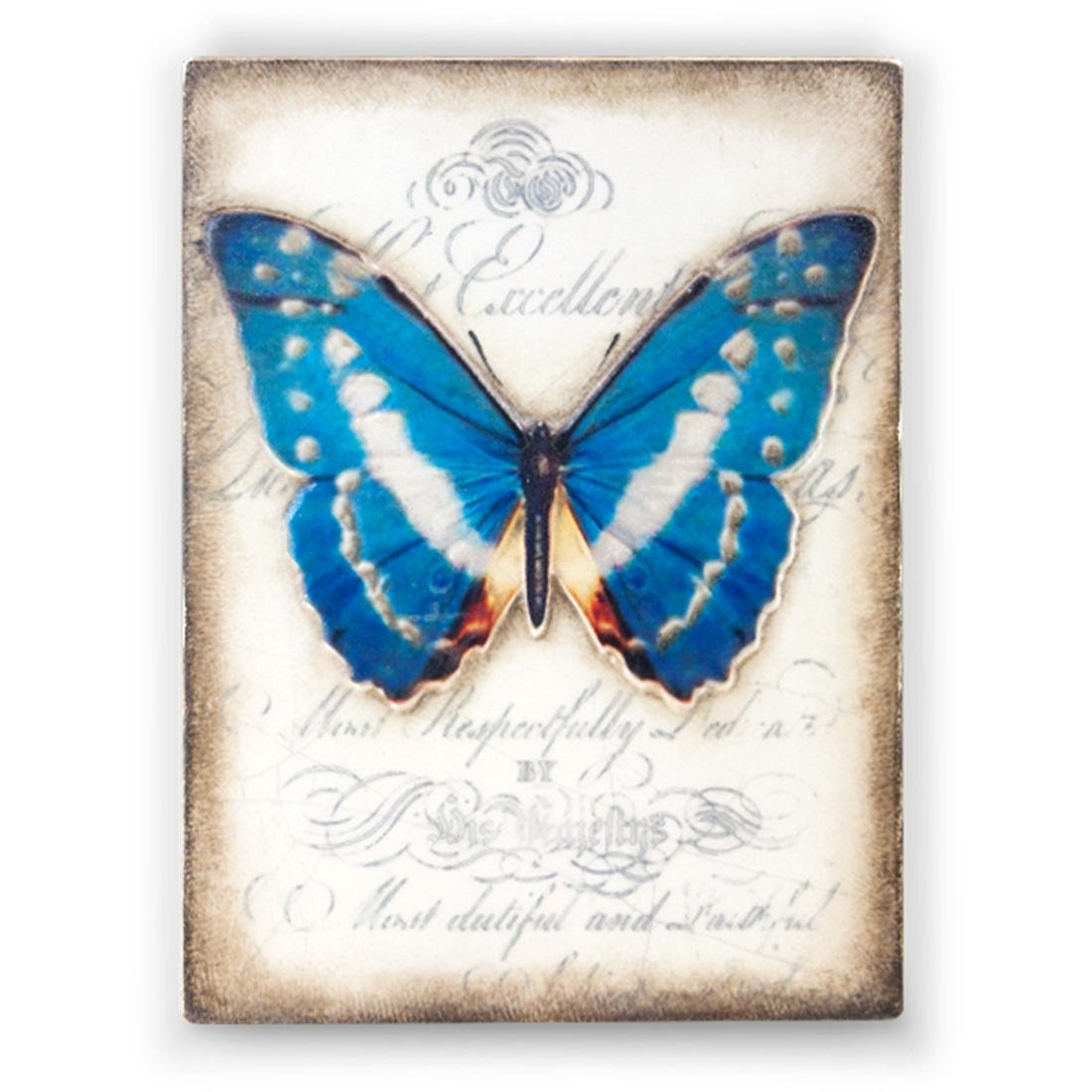 Sid Dickens Memory Block - Metamorphosis