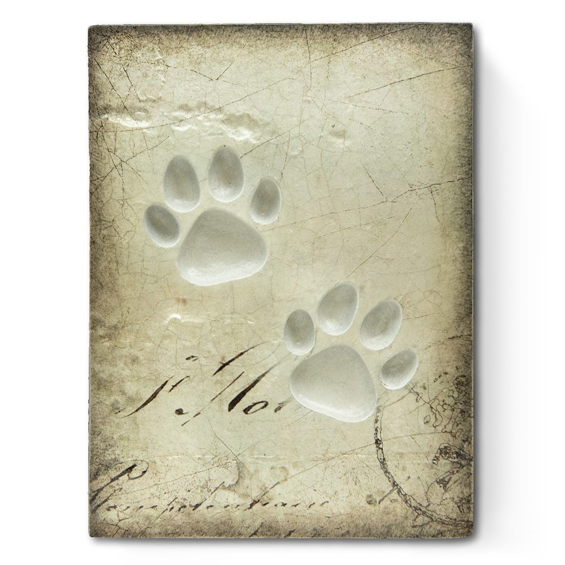 Sid Dickens Memory Block - Companion