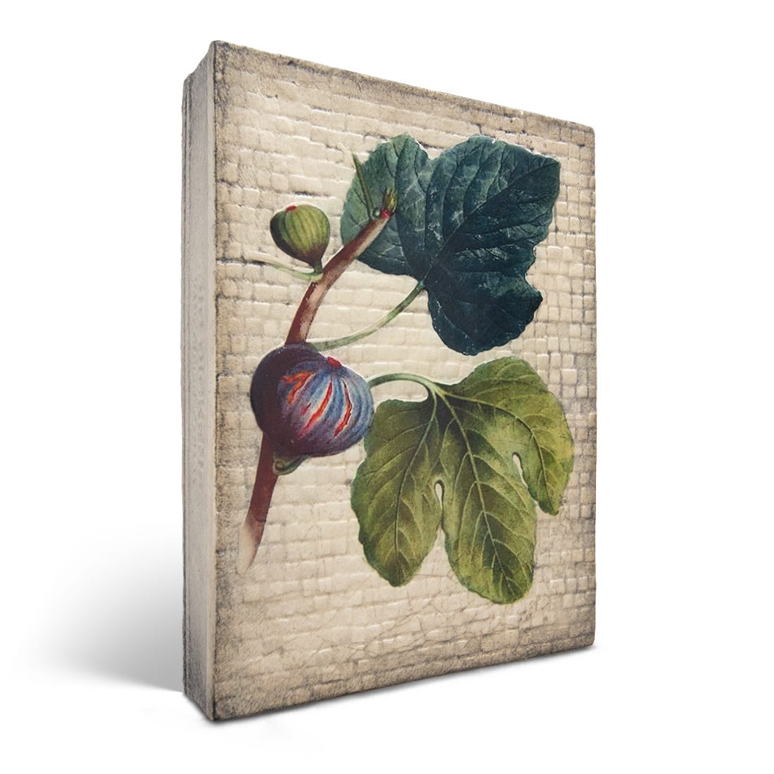 Sid Dickens Memory Block - Fig