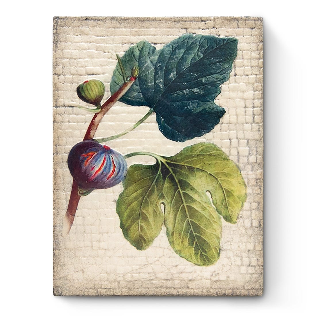 Sid Dickens Memory Block - Fig