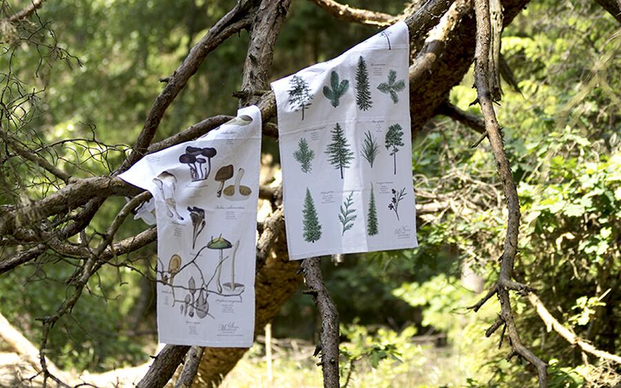 Organic Tea Towel - Mushrooms