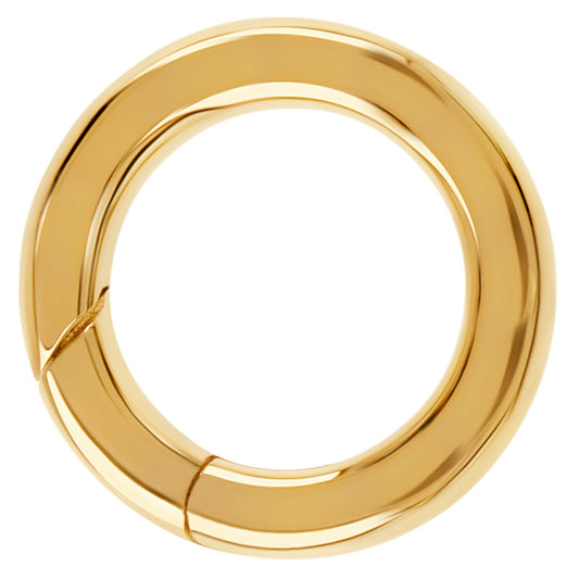 14k Yellow Gold Round Clip Hinge