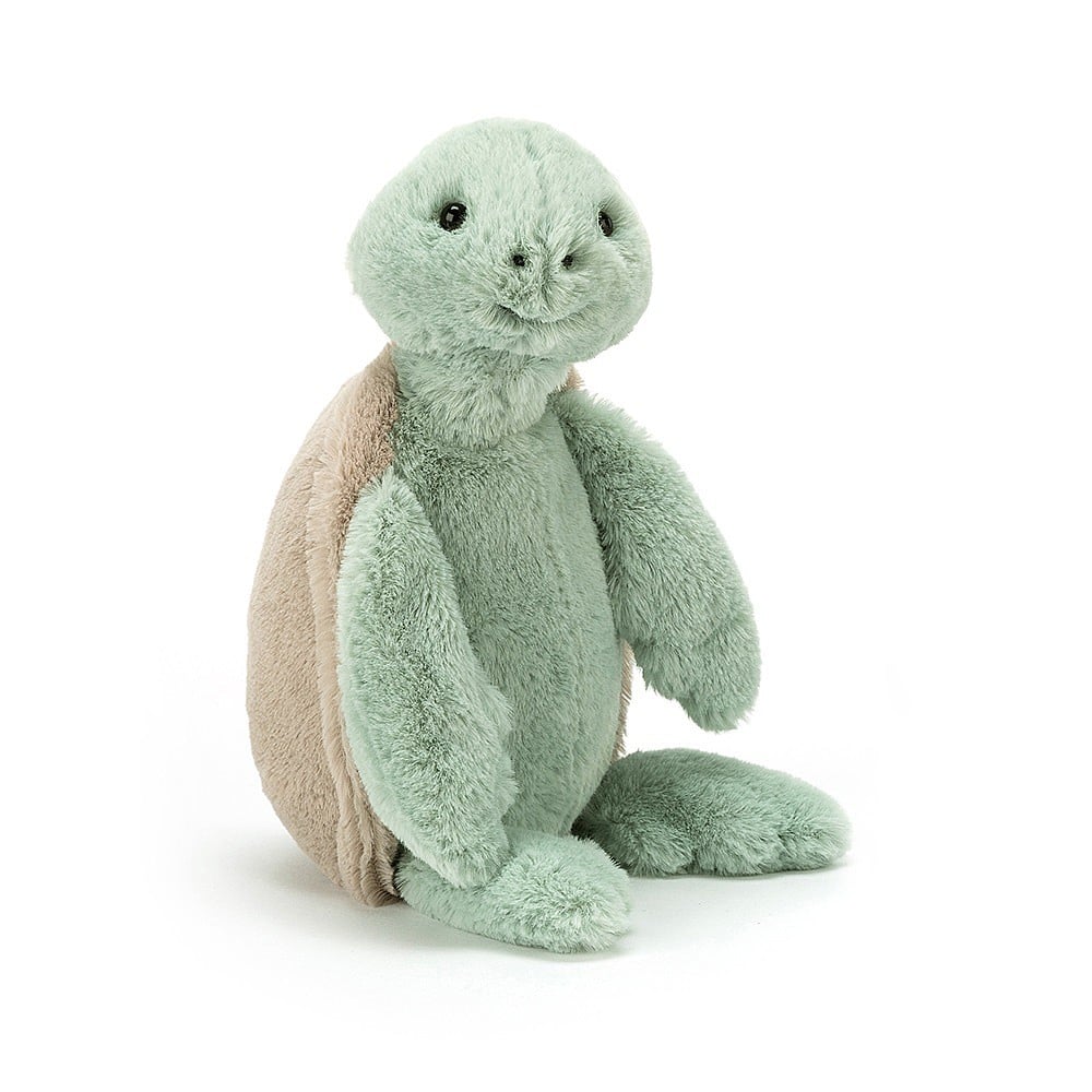 Bashful Turtle - Small