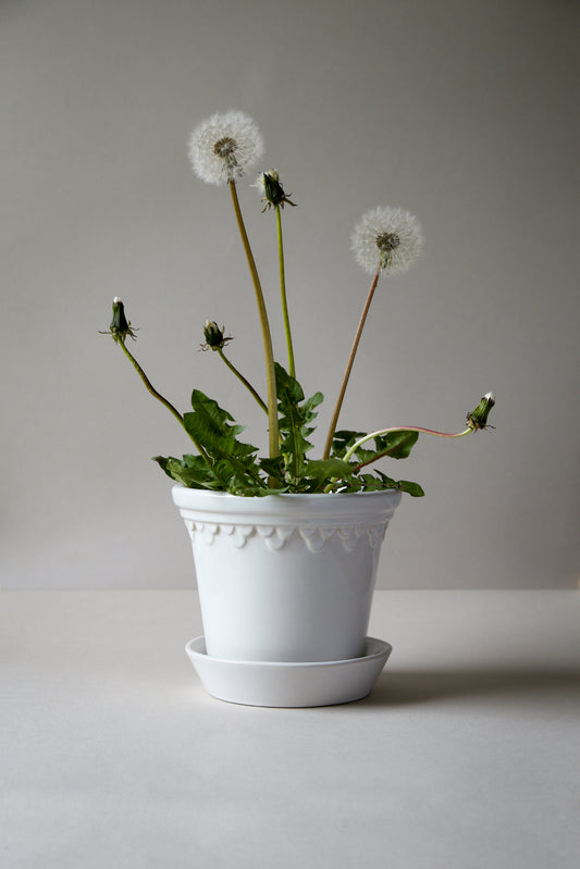 Københavner Pot with Saucer - Glazed Mineral White