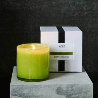 15.5oz Candle - Office - Rosemary Eucalyptus