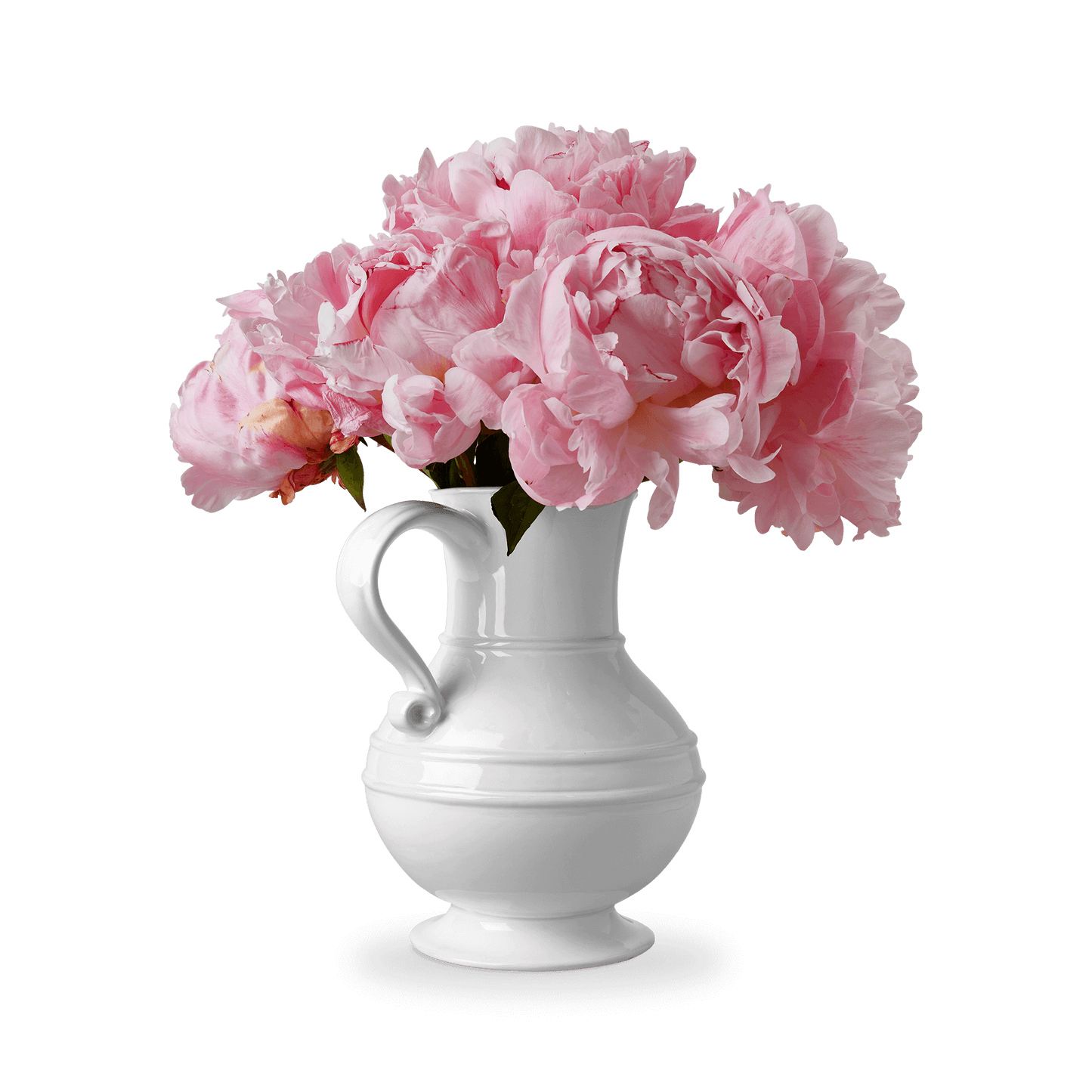 Pitcher - White
