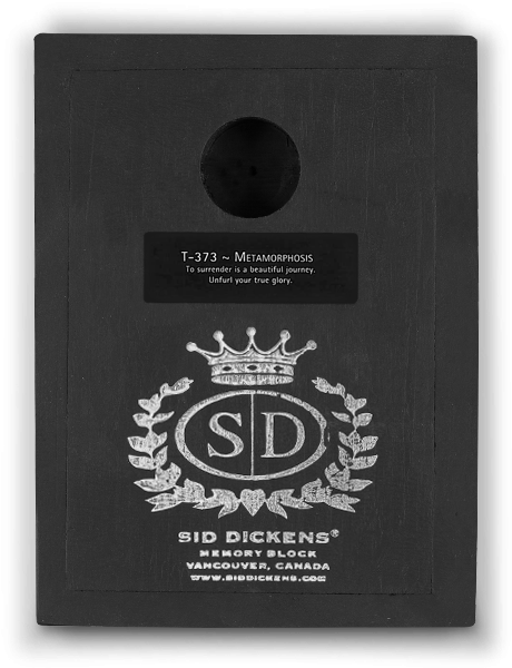 Sid Dickens Memory Block - Metamorphosis