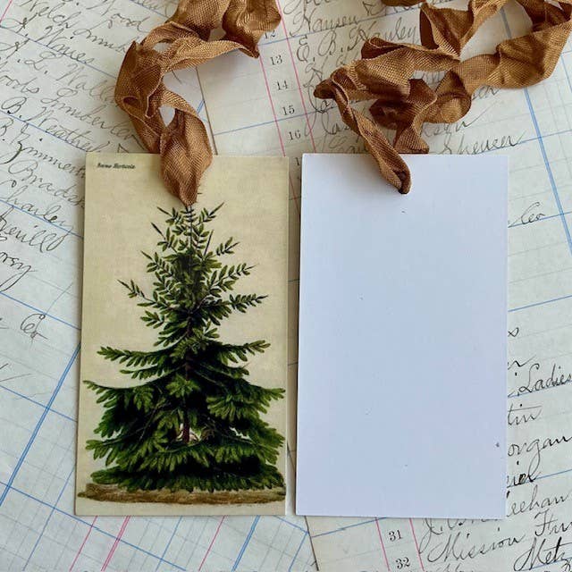 Pack of 3 Gift Tags with Crinkle Ribbon - Pine Tree