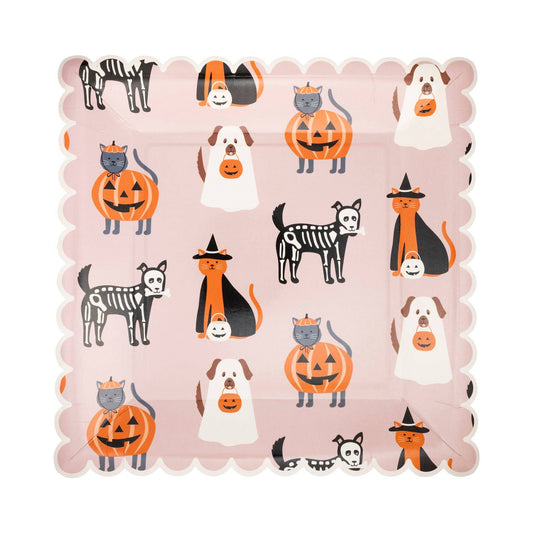 Square Costume Pets Plate