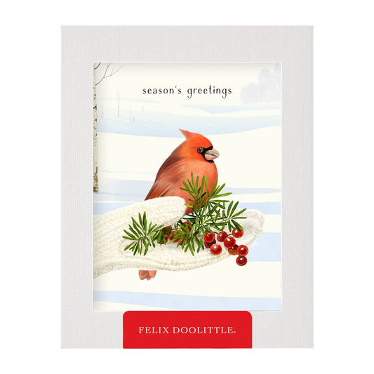 Box of 8 Greeting Cards - Cozy Cardinal