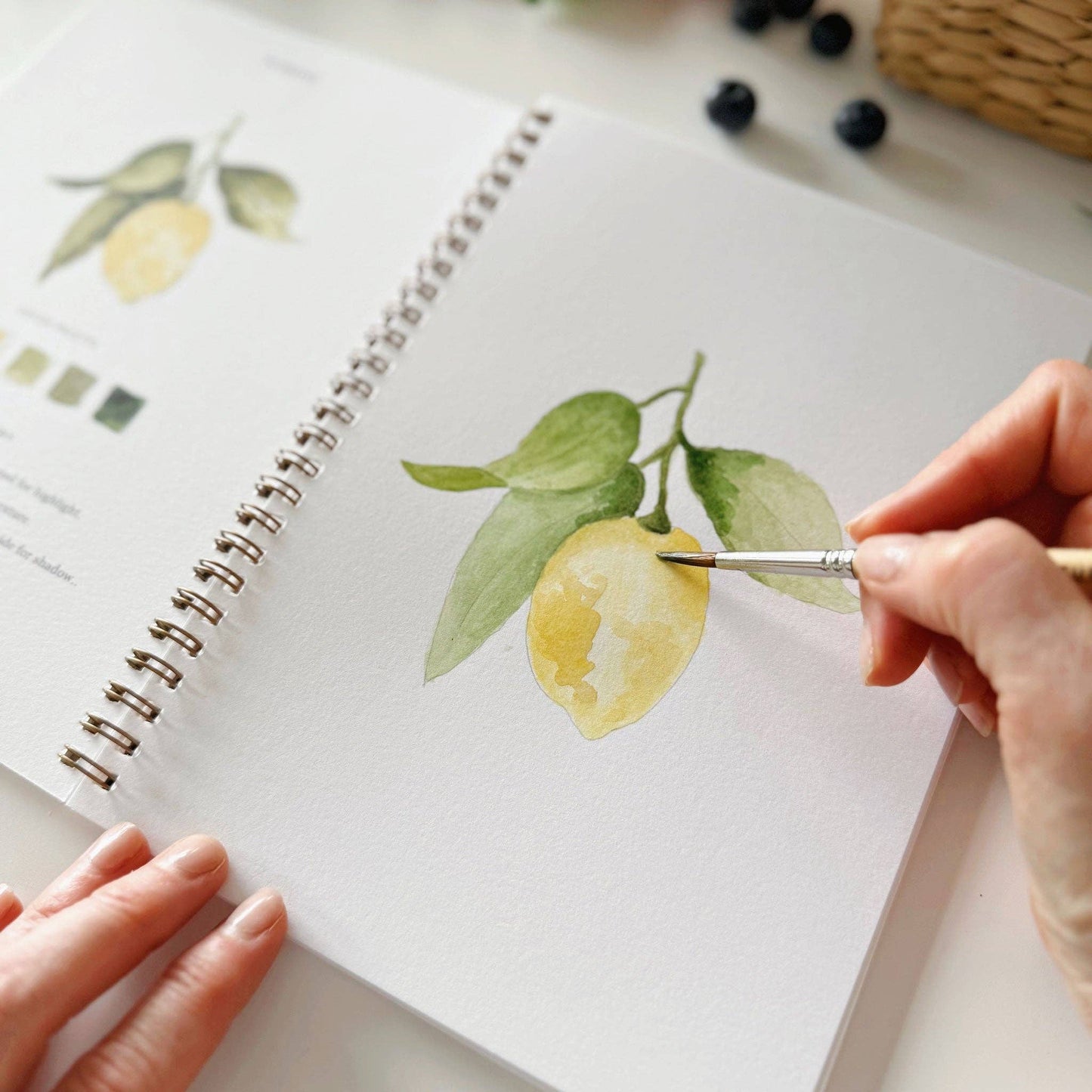 Watercolor Workbook - Fruit