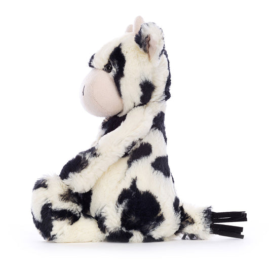 Bashful Calf - Medium