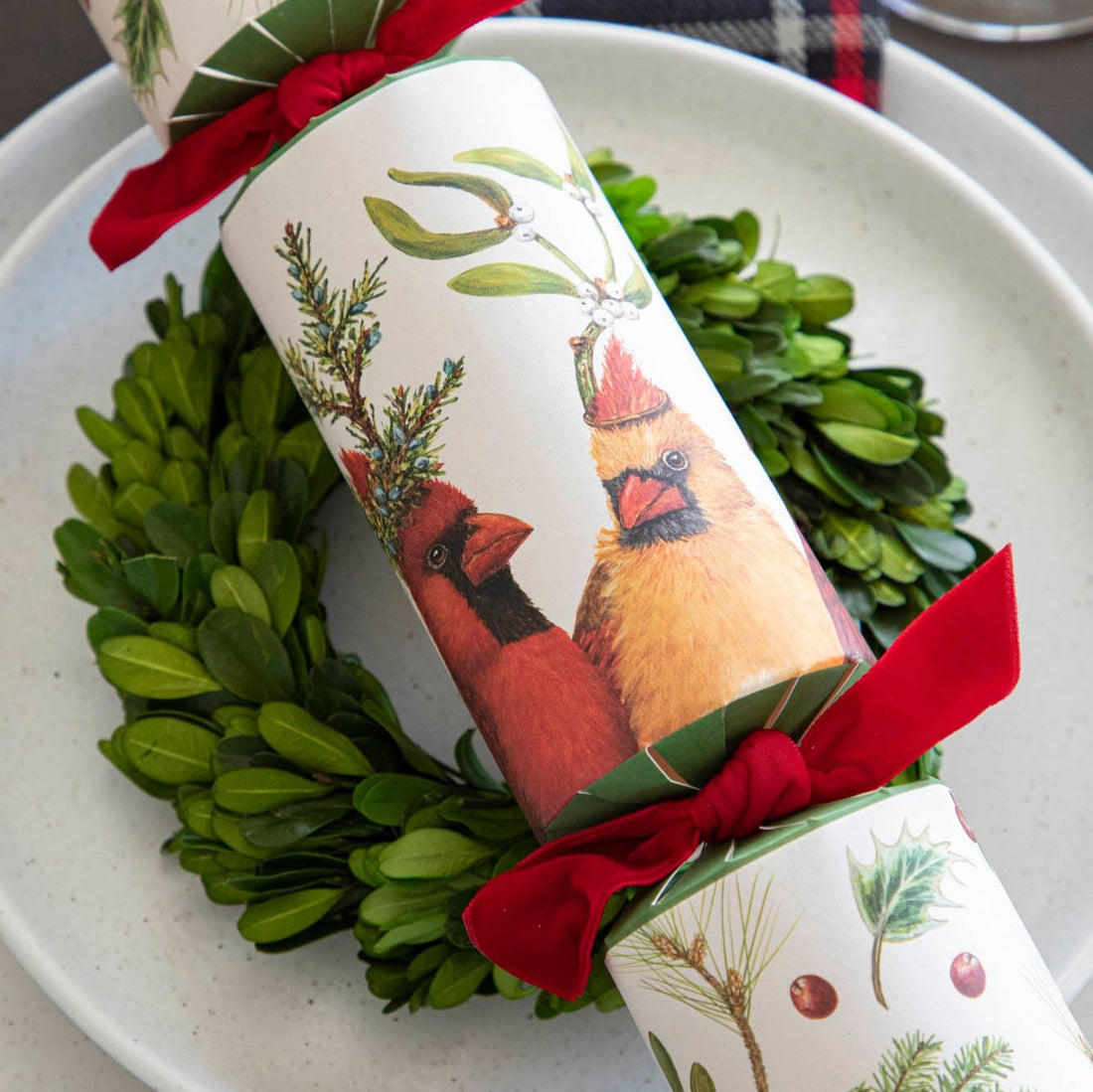 Festive Holiday Cracker Set of 6 - Cardinal
