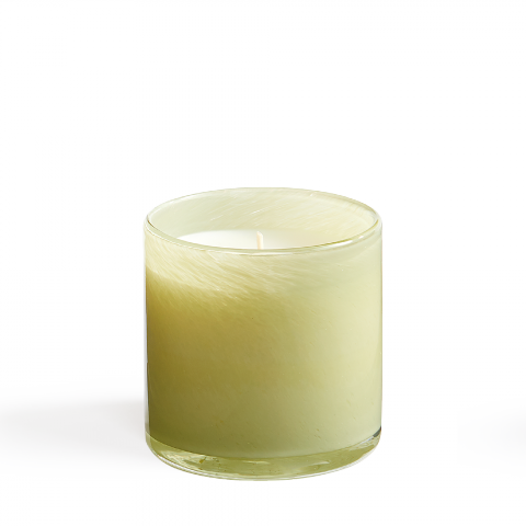 6.5oz Classic Candle - Wild Honeysuckle