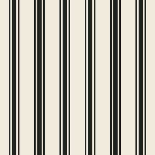 Cocktail Napkins - Black Linen Stripe