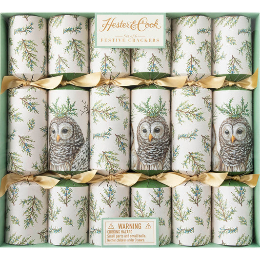 Festive Holiday Cracker Set of 6 - Winter Owls