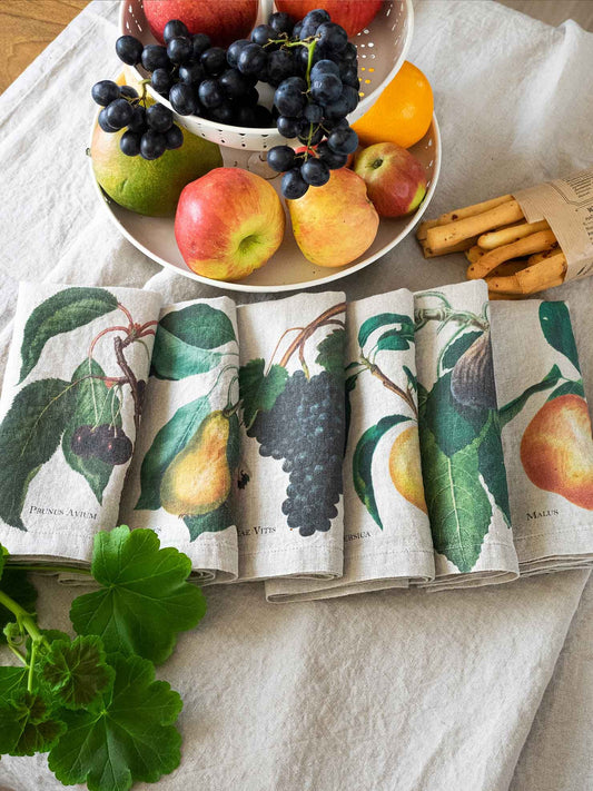 Set of 6 Fruits Garden Party Linen Napkins