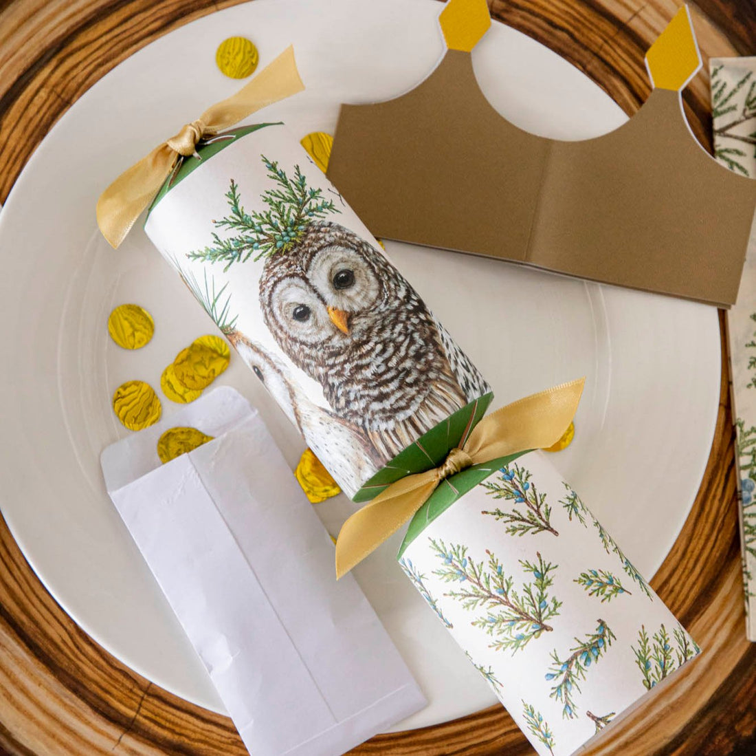Festive Holiday Cracker Set of 6 - Winter Owls