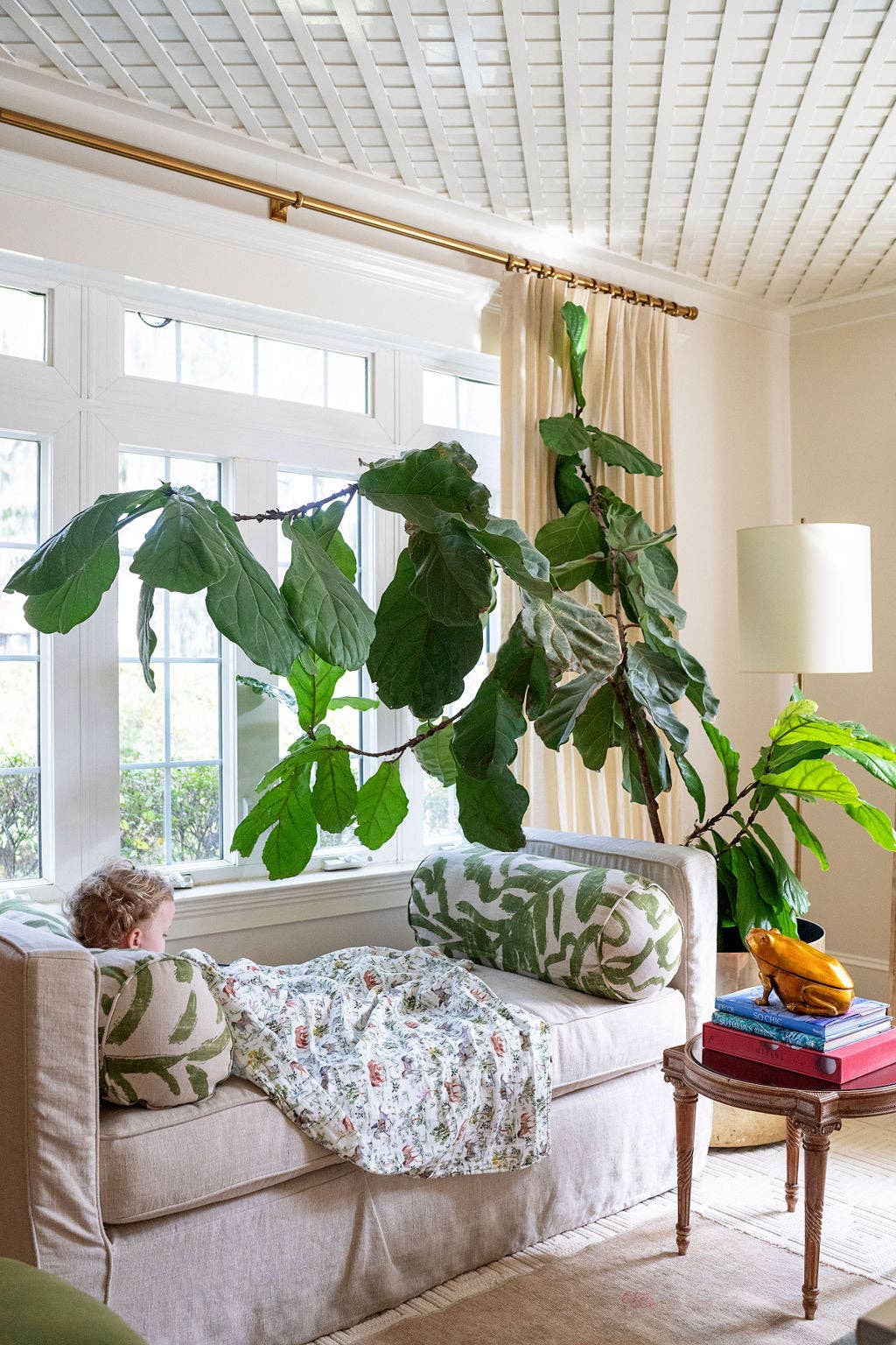 Shawl Blanket - Hunter Pace Horse