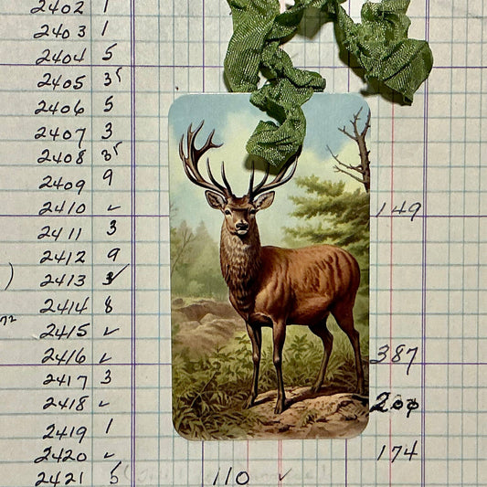 Pack of 3 Gift Tags with Crinkle Ribbon - Beautiful Deer