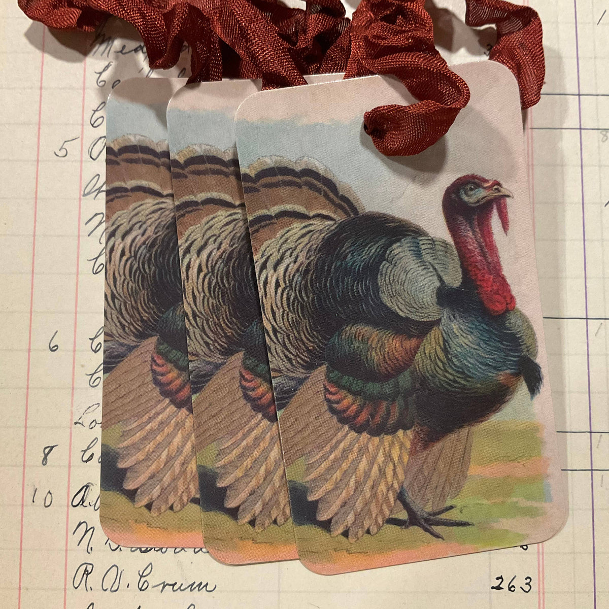 Pack of 3 Gift Tags with Crinkle Ribbon - Turkey