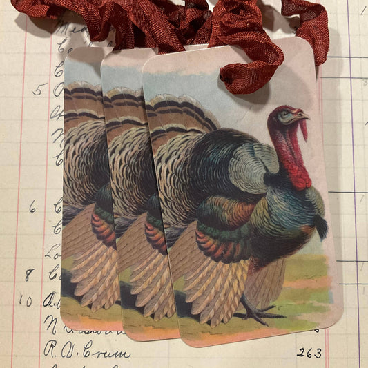 Pack of 3 Gift Tags with Crinkle Ribbon - Turkey