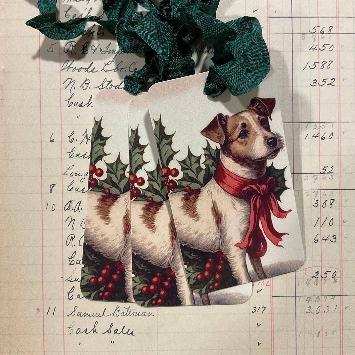 Pack of 3 Gift Tags with Crinkle Ribbon -  Dog