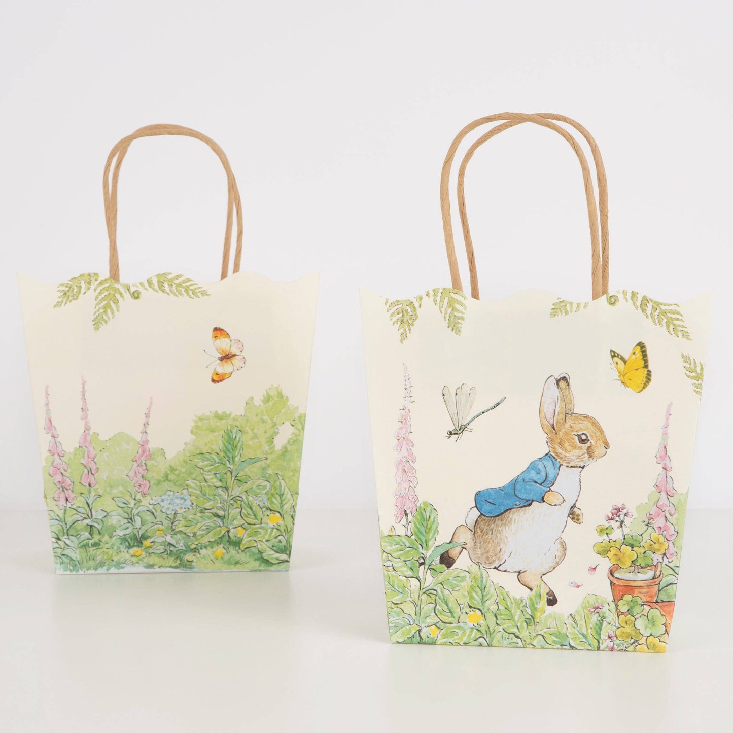 Peter Rabbit™ In The Garden Party Bag