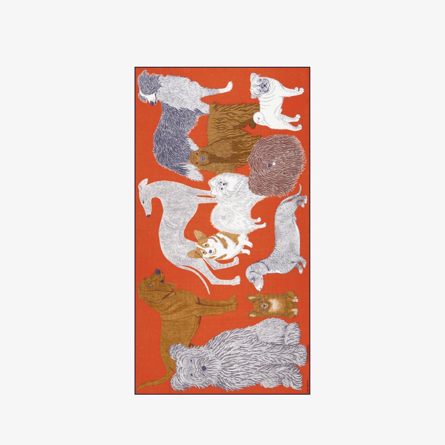 Scarf 100 - Toutou - Orange