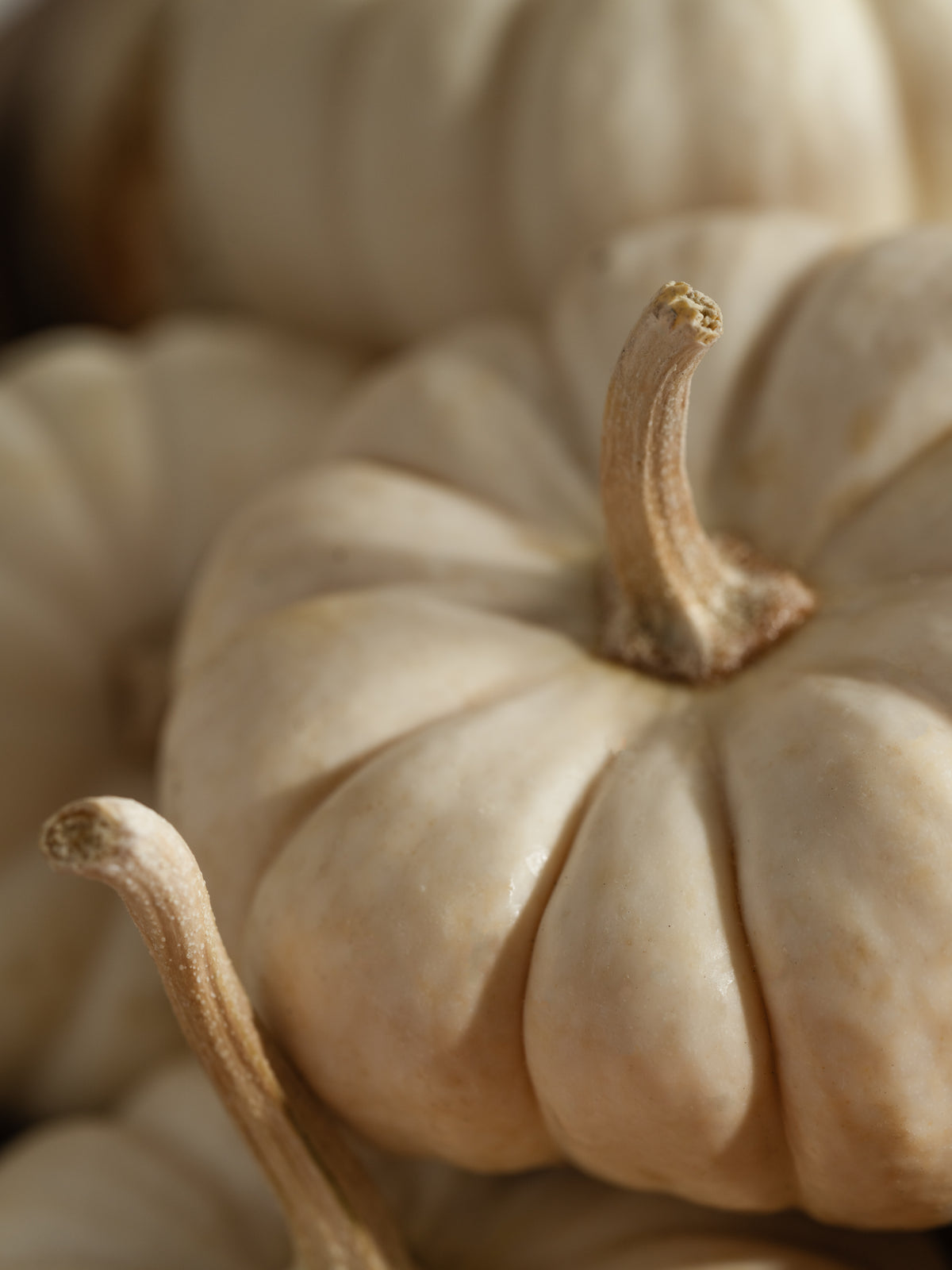 Smart Vial - White Pumpkin