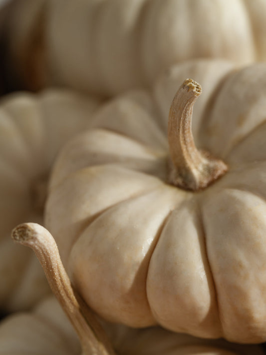 Smart Vial - White Pumpkin