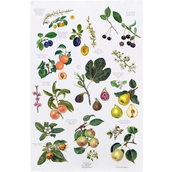 Organic Tea Towel - Fruit