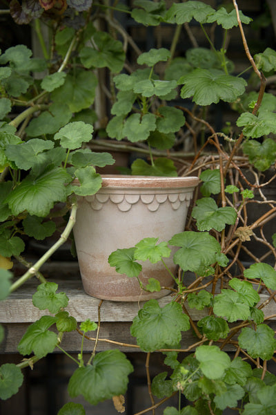 Københavner Pot with Saucer- Raw Rosa